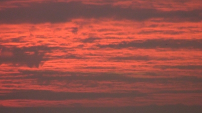 赤い空