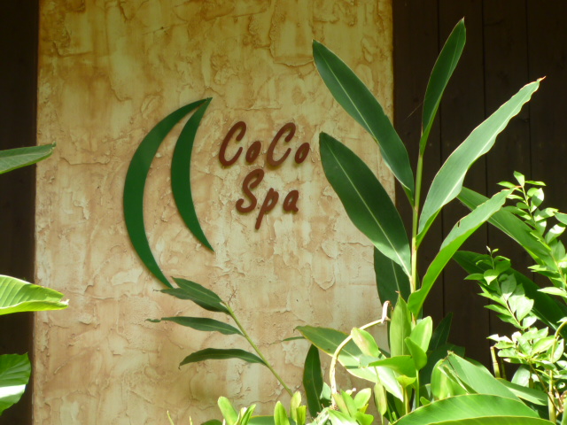 P1000630.JPG