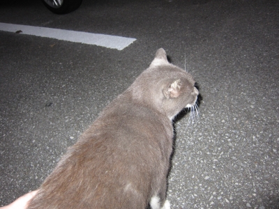 IMG_0172.jpg