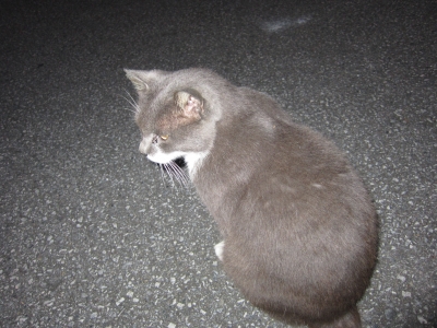 IMG_0173.jpg