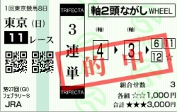 20100221_フェブラリーS_02