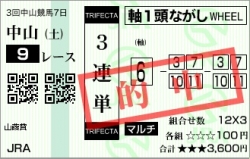 201000417_山吹賞01