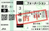 20111105_百日草特別01