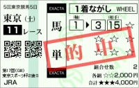 20121117_東京スポーツ杯2歳S