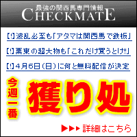 チェックメイト