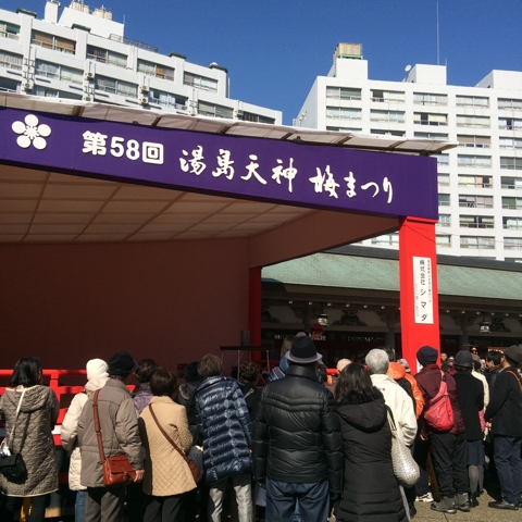湯島天神 梅まつり