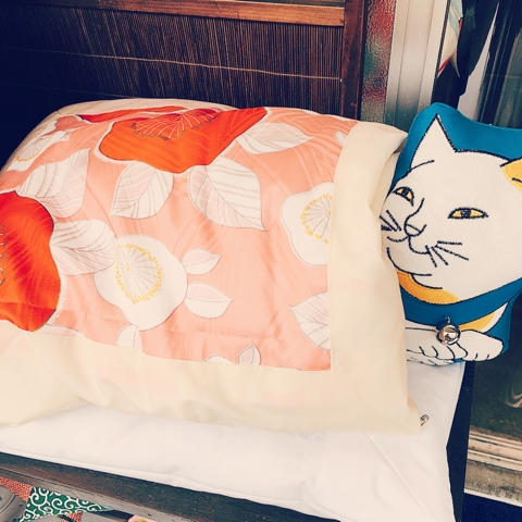 猫 布団