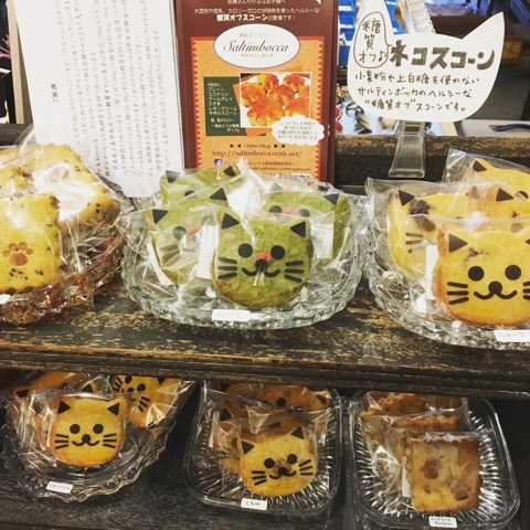 猫 スコーン