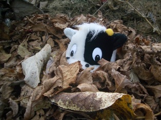 さみしいよぉ らくちゃん日記