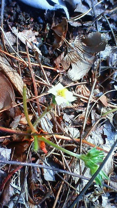 201004290845000.jpg
