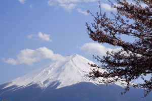 fuji