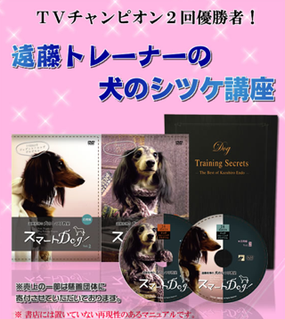 遠藤和博の愛犬のしつけ法公式サイト