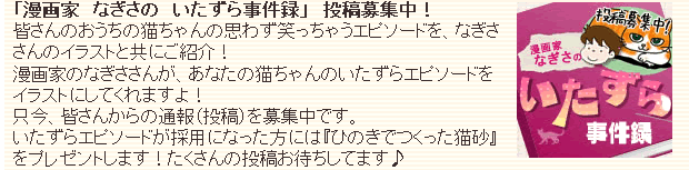 アイリスさんPR