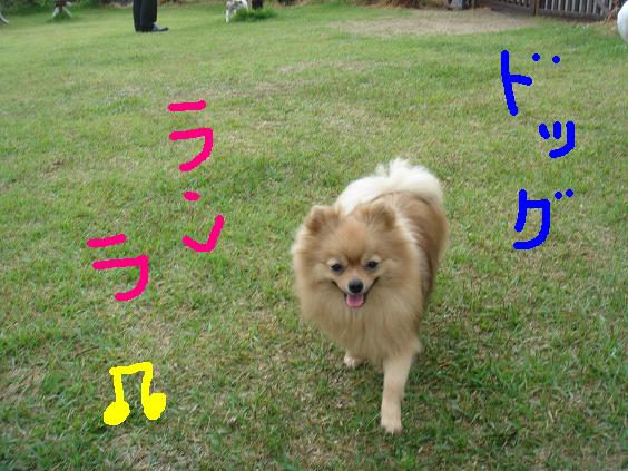広いよ〜