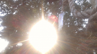 IMAG0030_BURST020 - コピー.jpg