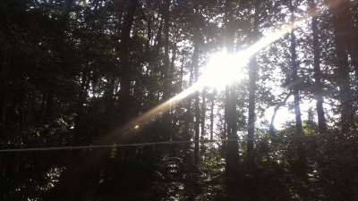 IMAG0569.jpg