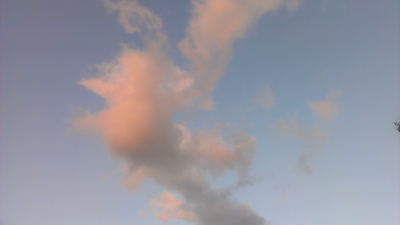 IMAG0004.jpg