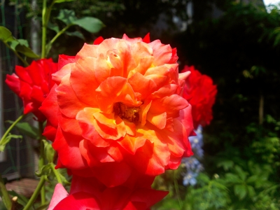 IMAG1083_BURST006.jpg
