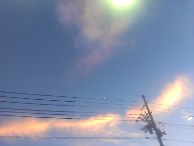 IMAG1132_BURST003.jpg