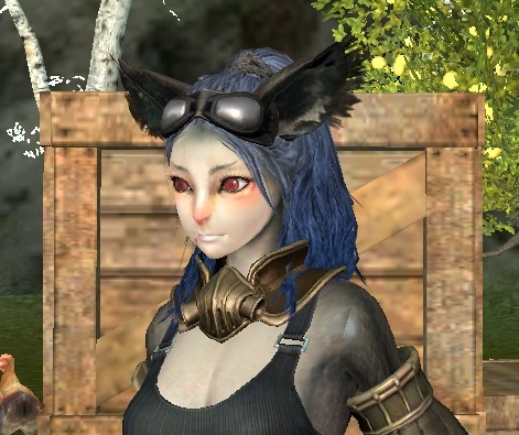 アーキエイジ 東大陸で寝てる