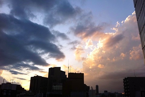 IMG_8537.jpg