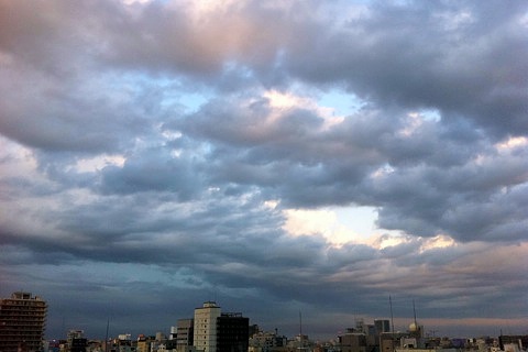 IMG_2443.jpg
