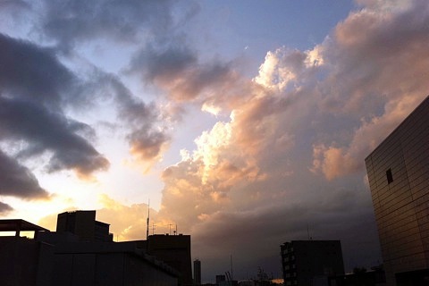 IMG_9730.jpg