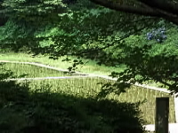 駒場野公園2