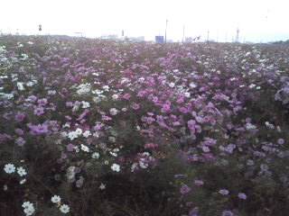 101106_1702~010001.jpg