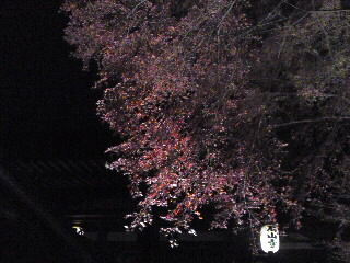 SN3O04040001.jpg