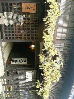 VFSH0060.JPG