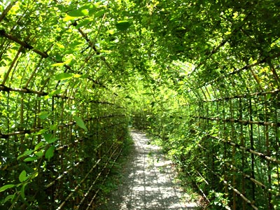 向島百花園の萩のトンネル(02)