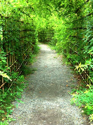 向島百花園の萩のトンネル(03)