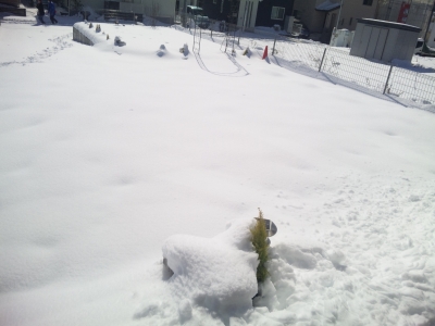 助産院駐車場