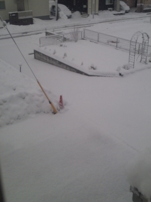 積雪20cm
