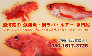 外道 | 清水港 釣船 大宝丸