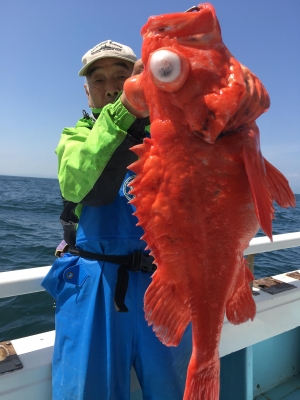 アコウ釣り　ライトタックル　中深海　スロージギング　駿河湾　清水港　大宝丸
