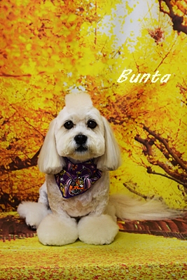 bunta35.JPG