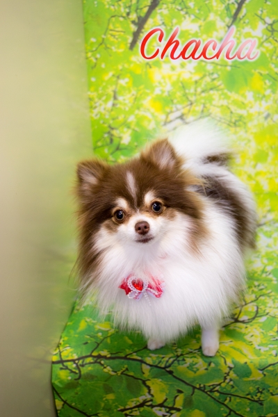 DSC_1373a.jpg