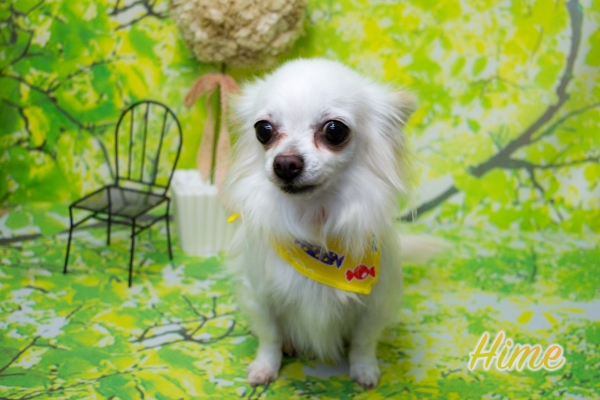 DSC_1459-2a.jpg
