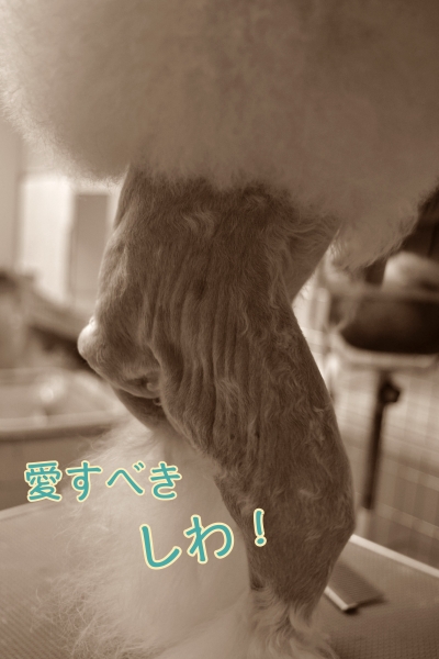 DSC_2920.JPG