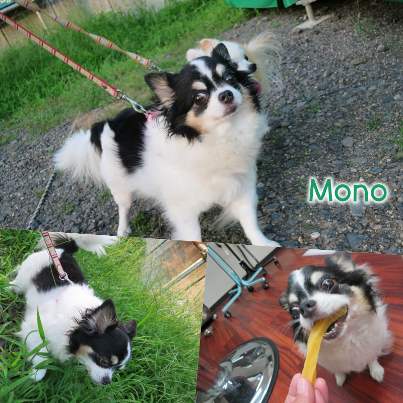 mono.png