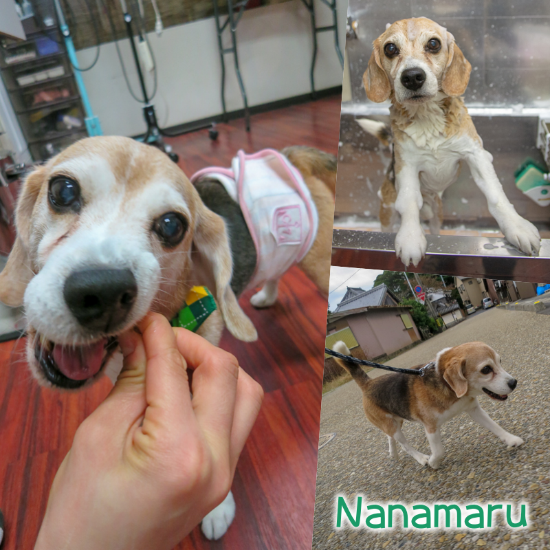 nana.png