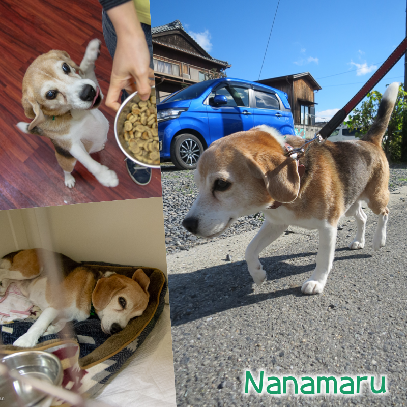 nana.png