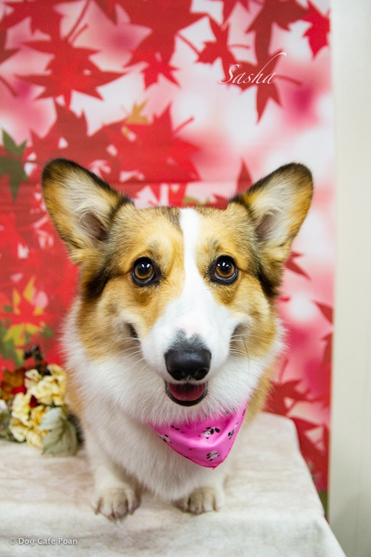 DSC_5911.jpg