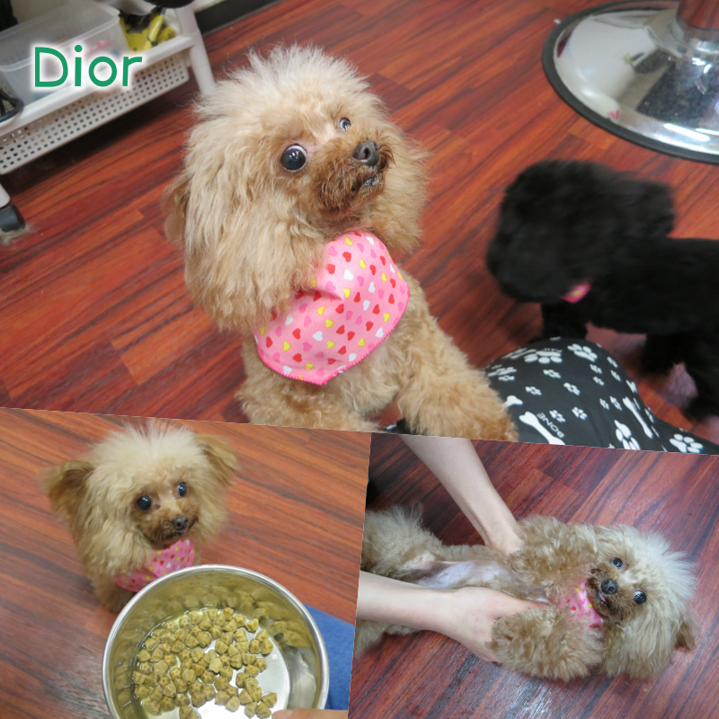 Dior.png