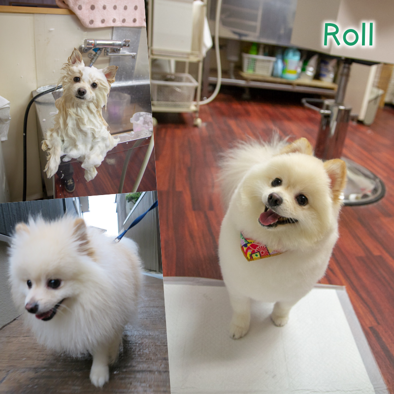 Roll.png