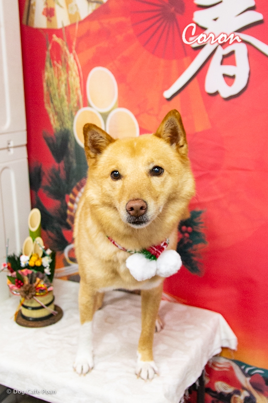 DSC_1406.jpg