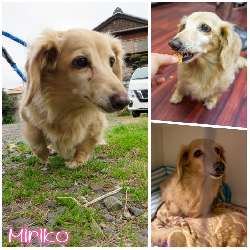 miri.jpg