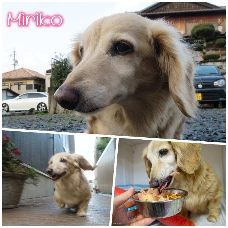 miri.jpg